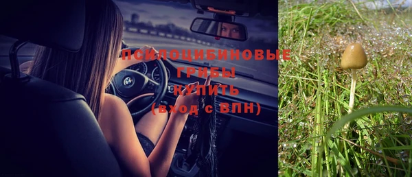 a pvp Арсеньев